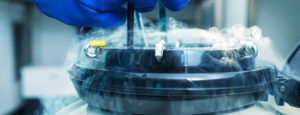 Sperm Freezing Embryo Freezing