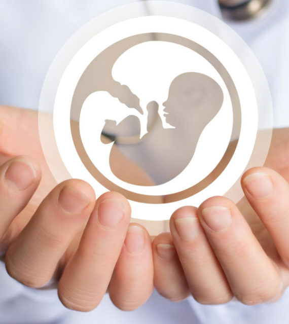 IVF STEP-BY-STEP