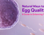 Boost Egg Quality