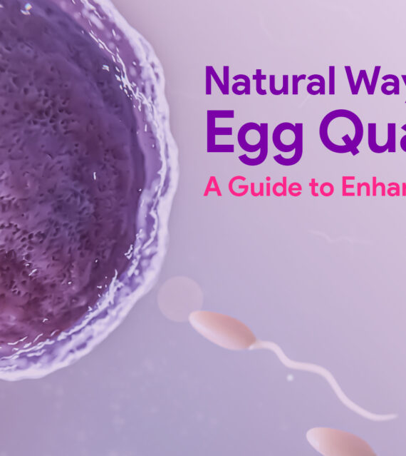 Boost Egg Quality