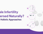 Male Infertility